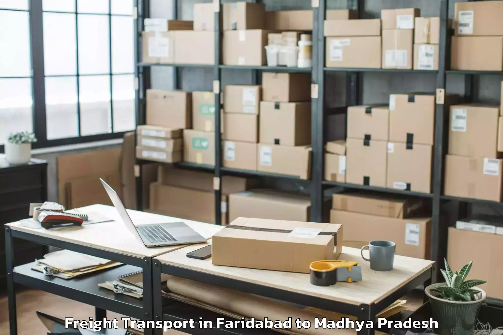 Quality Faridabad to Gwalior Airport Gwl Freight Transport